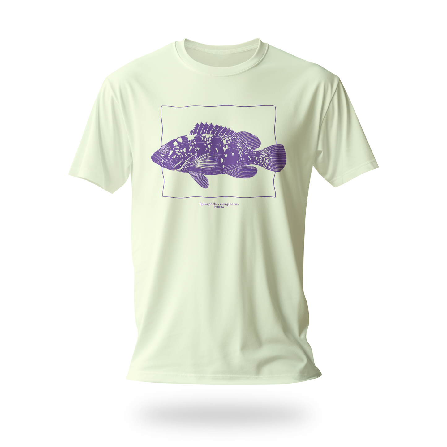 Epinephelus Marginatus