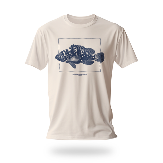 Epinephelus Marginatus