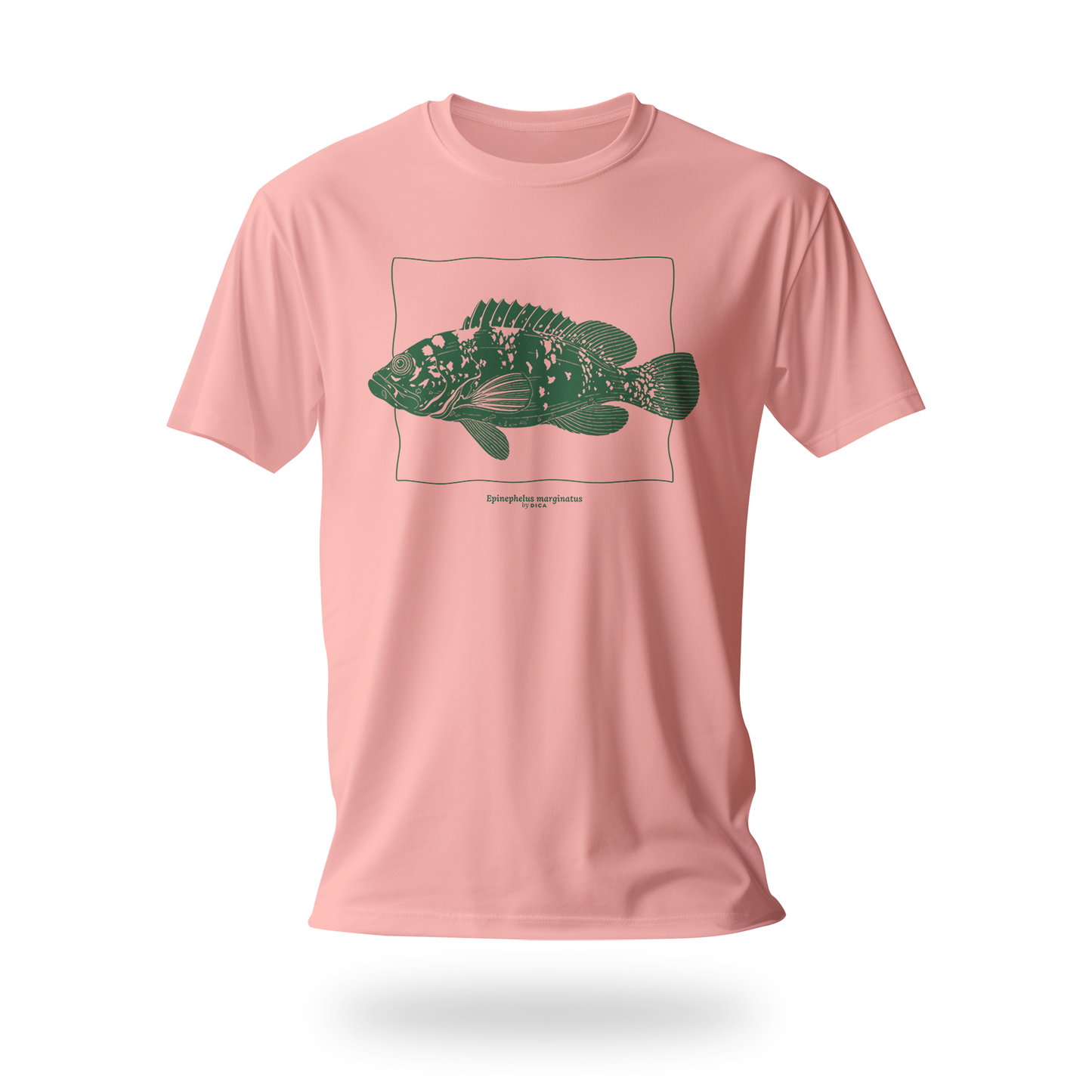 Epinephelus Marginatus