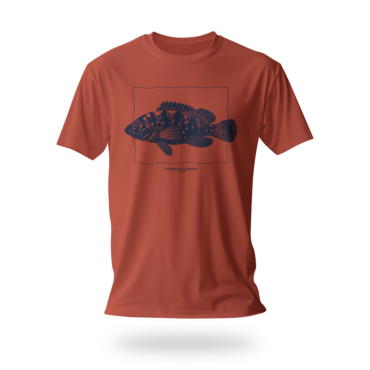 Epinephelus Marginatus