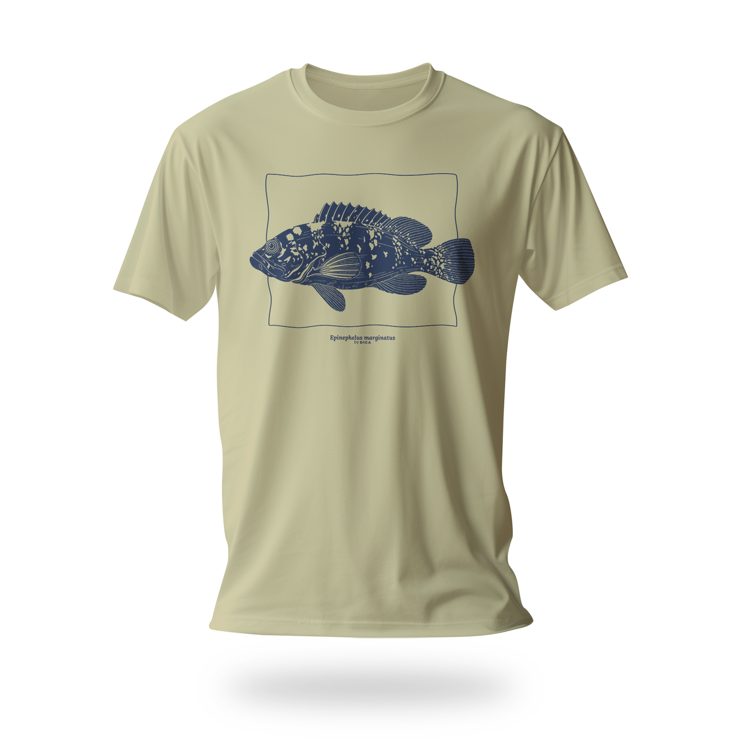 Epinephelus Marginatus