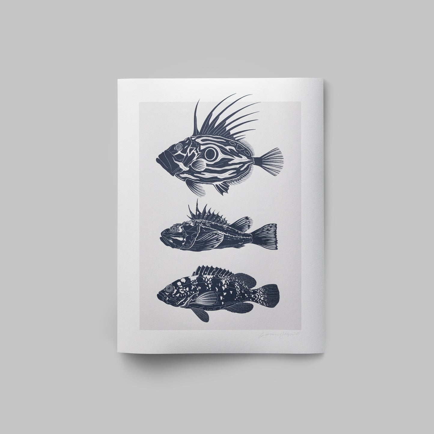 Fishes (Fine Art Print)
